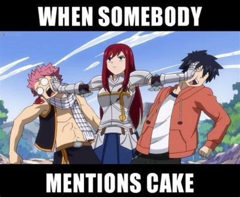 fairy tail memes|fairy tail quotes funny.